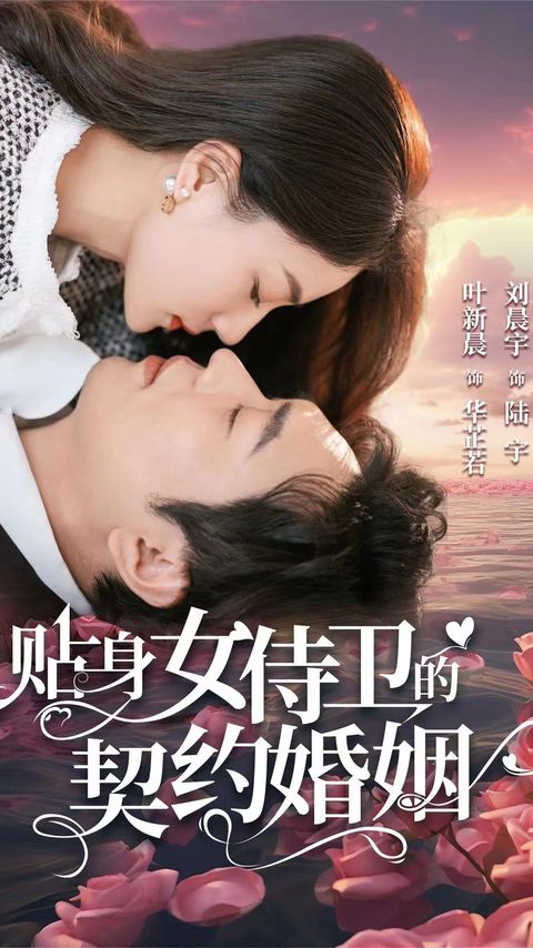 贴身女侍卫的契约婚姻第114集