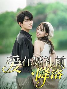 爱在婚礼前降落全集(大结局)