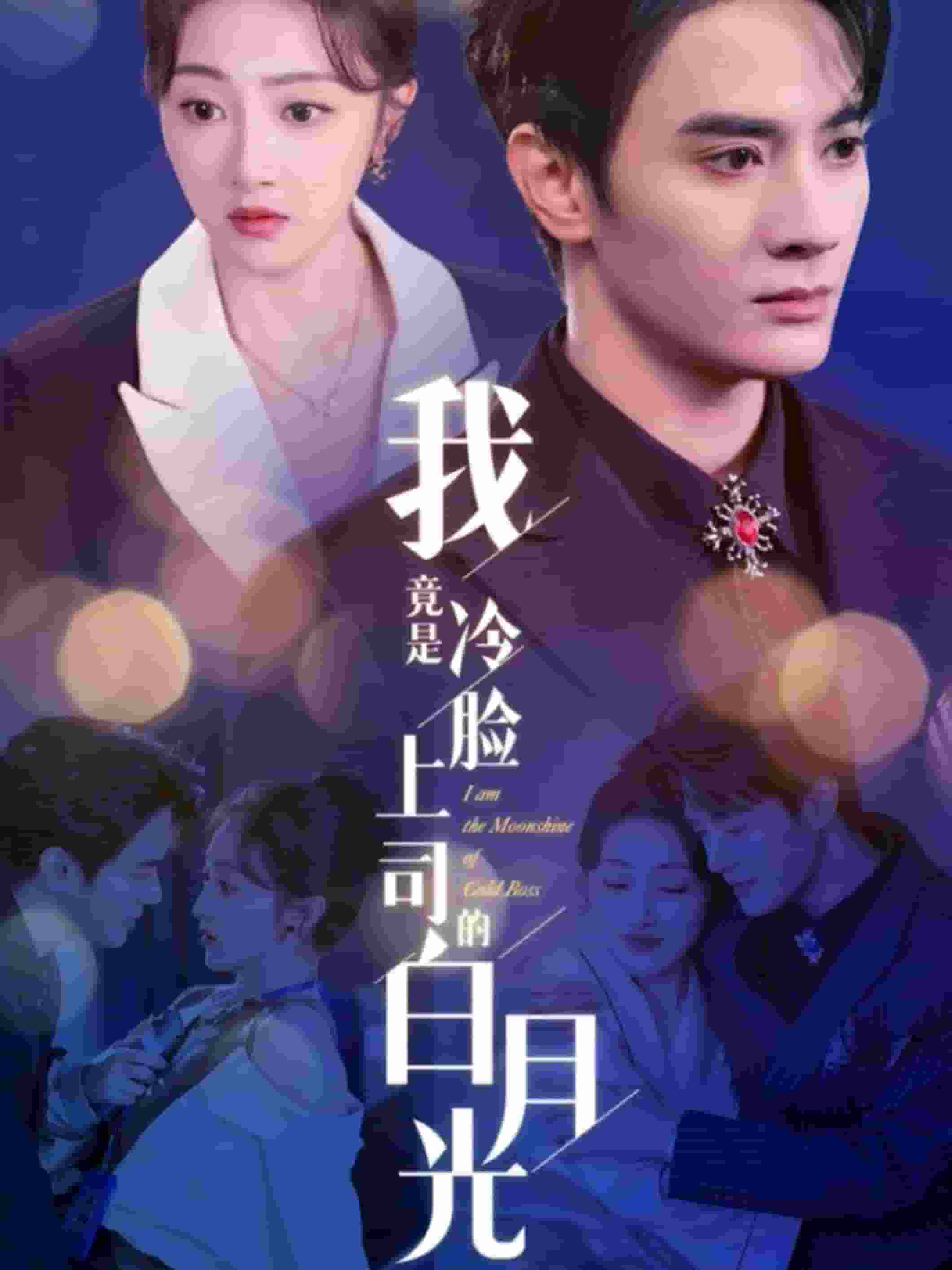 我竟是冷脸上司的白月光(全集)