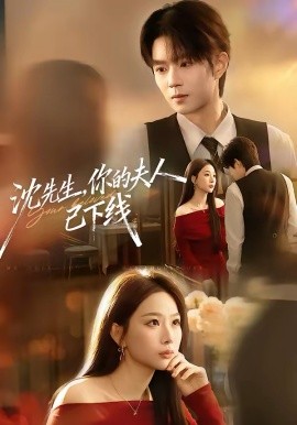沈先生，你的夫人已下线(全集)