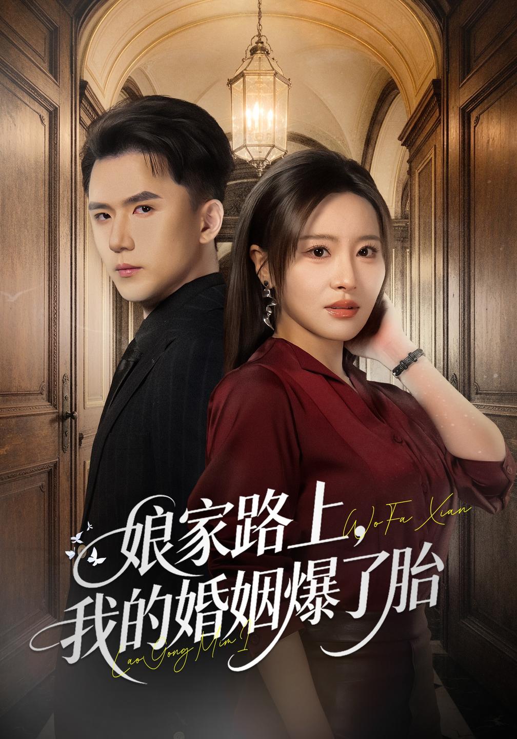 娘家路上,我的婚姻爆了胎(全集)